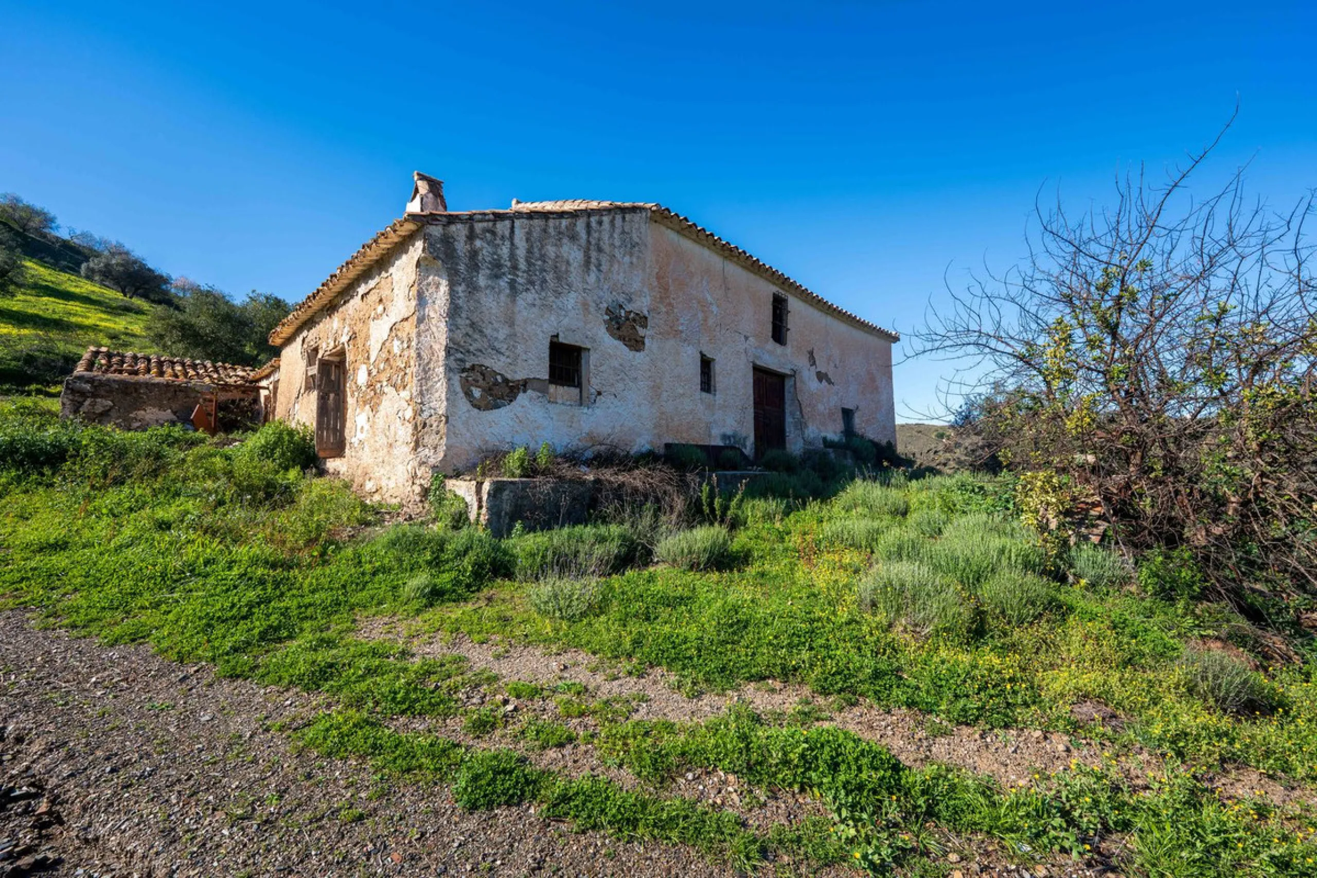 Imagine a place where time seems to stand still—a vast, quiet estate that breathes history in every corner. Two old houses in ruins rise gently from the land, their weathered walls worn by the years yet still standing strong, as if waiting for someone to 