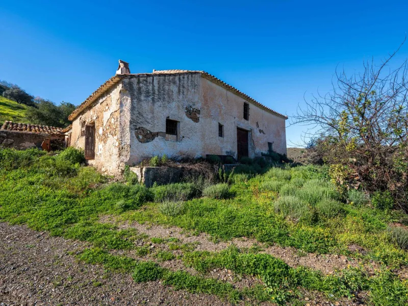Imagine a place where time seems to stand still—a vast, quiet estate that breathes history in every corner. Two old houses in ruins rise gently from the land, their weathered walls worn by the years yet still standing strong, as if waiting for someone to 
