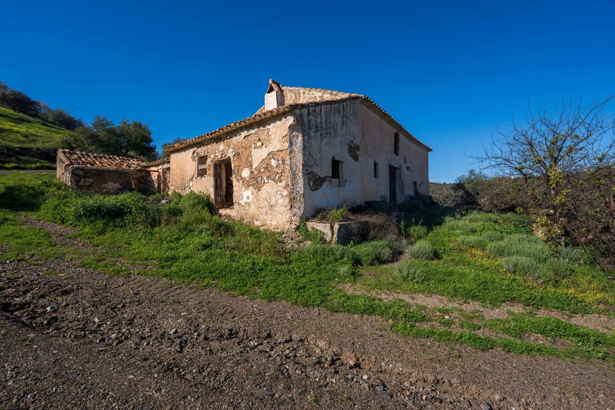 Imagine a place where time seems to stand still—a vast, quiet estate that breathes history in every corner. Two old houses in ruins rise gently from the land, their weathered walls worn by the years yet still standing strong, as if waiting for someone to 
