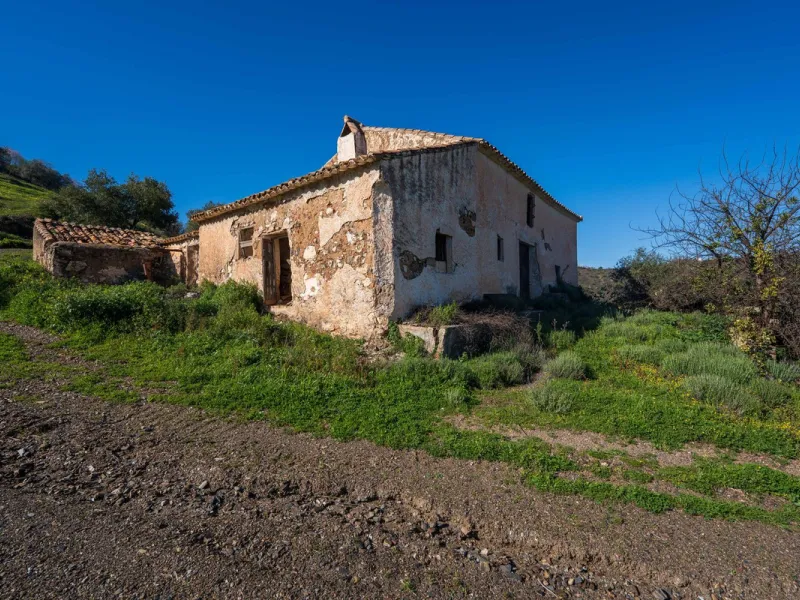 Imagine a place where time seems to stand still—a vast, quiet estate that breathes history in every corner. Two old houses in ruins rise gently from the land, their weathered walls worn by the years yet still standing strong, as if waiting for someone to 