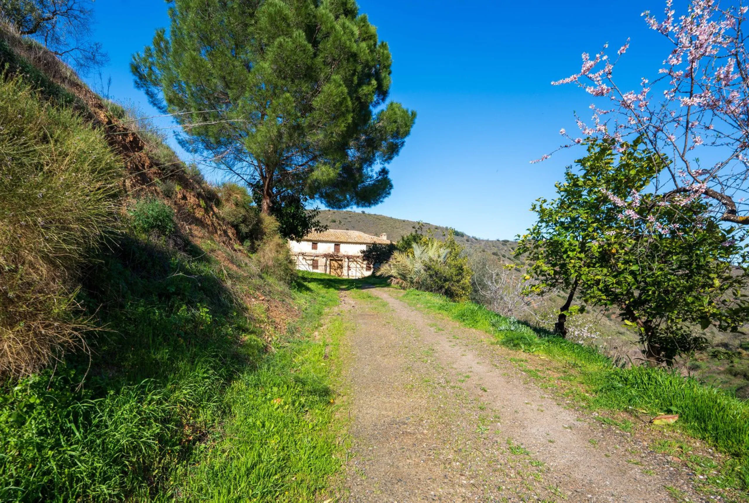 Imagine a place where time seems to stand still—a vast, quiet estate that breathes history in every corner. Two old houses in ruins rise gently from the land, their weathered walls worn by the years yet still standing strong, as if waiting for someone to 