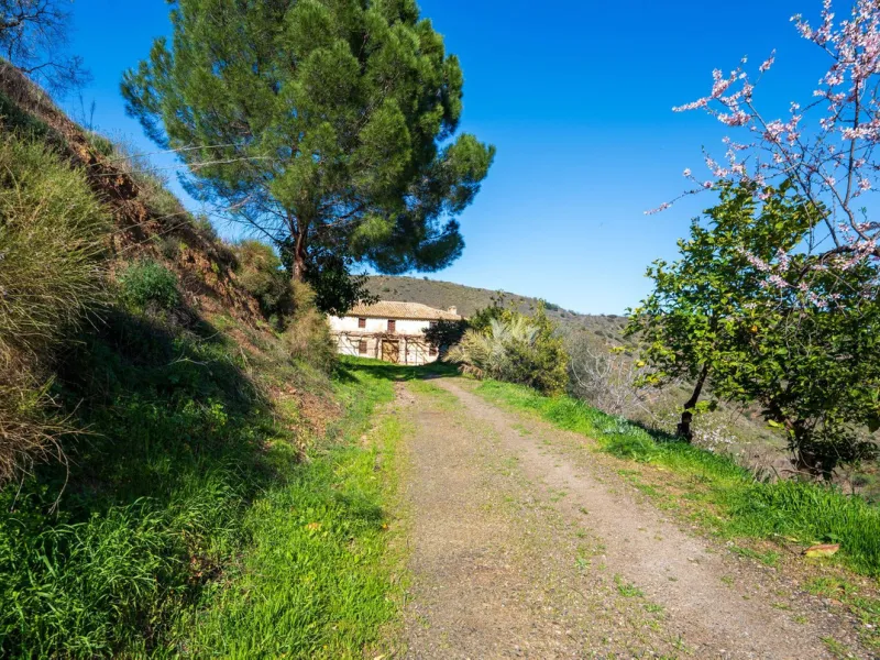 Imagine a place where time seems to stand still—a vast, quiet estate that breathes history in every corner. Two old houses in ruins rise gently from the land, their weathered walls worn by the years yet still standing strong, as if waiting for someone to 
