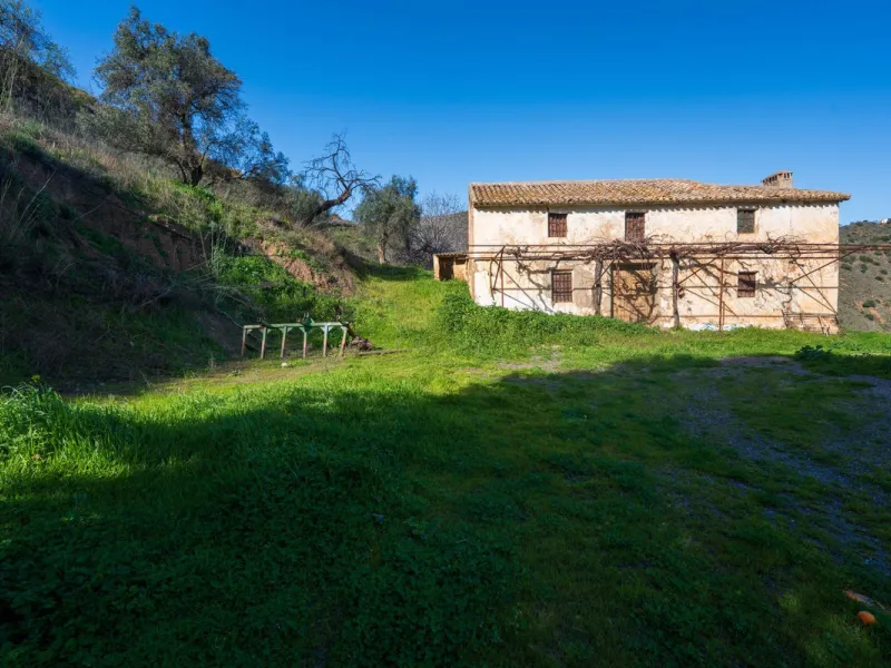 Imagine a place where time seems to stand still—a vast, quiet estate that breathes history in every corner. Two old houses in ruins rise gently from the land, their weathered walls worn by the years yet still standing strong, as if waiting for someone to 