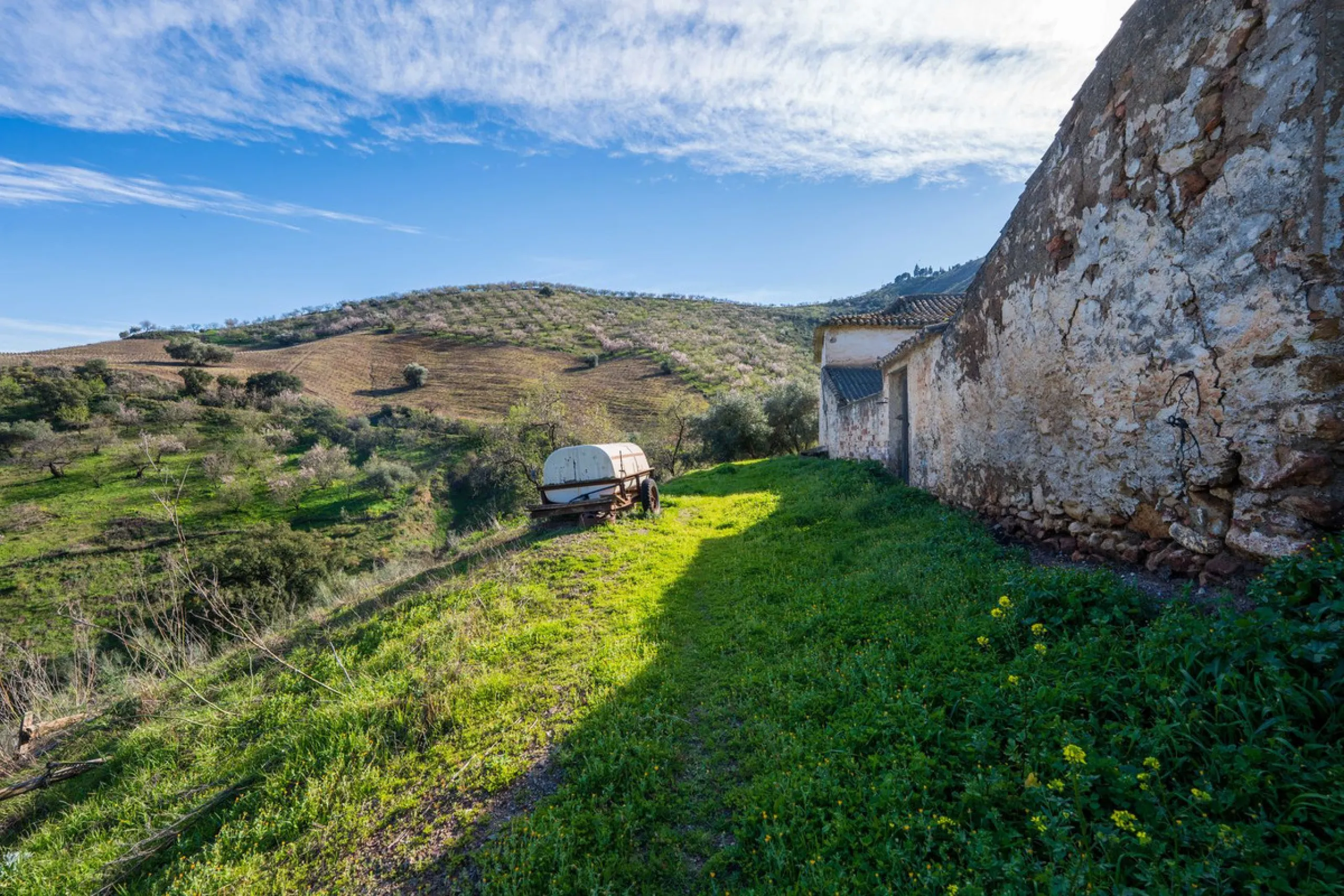 Imagine a place where time seems to stand still—a vast, quiet estate that breathes history in every corner. Two old houses in ruins rise gently from the land, their weathered walls worn by the years yet still standing strong, as if waiting for someone to 