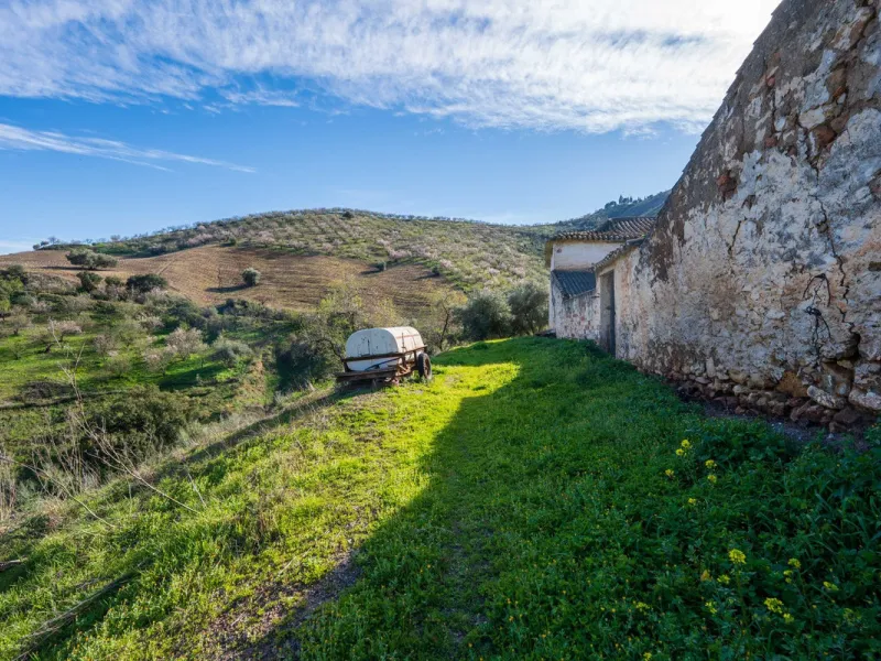 Imagine a place where time seems to stand still—a vast, quiet estate that breathes history in every corner. Two old houses in ruins rise gently from the land, their weathered walls worn by the years yet still standing strong, as if waiting for someone to 