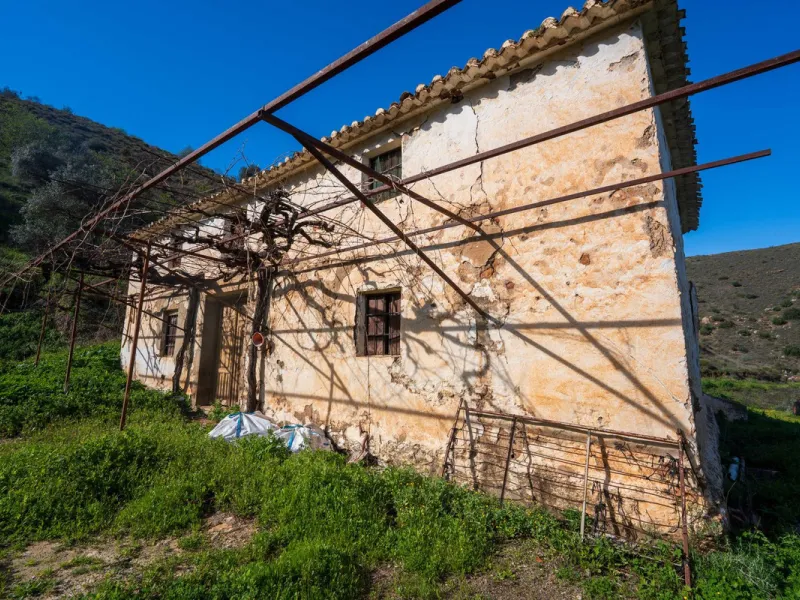 Imagine a place where time seems to stand still—a vast, quiet estate that breathes history in every corner. Two old houses in ruins rise gently from the land, their weathered walls worn by the years yet still standing strong, as if waiting for someone to 