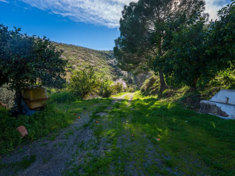 Imagine a place where time seems to stand still—a vast, quiet estate that breathes history in every corner. Two old houses in ruins rise gently from the land, their weathered walls worn by the years yet still standing strong, as if waiting for someone to 