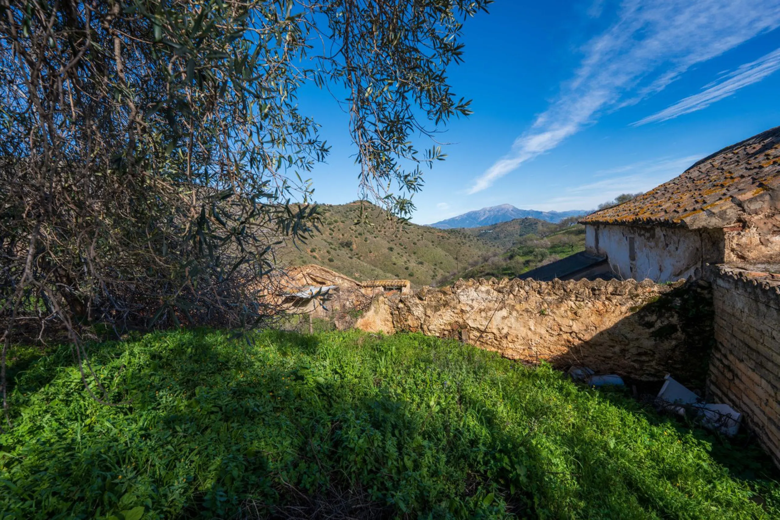 Imagine a place where time seems to stand still—a vast, quiet estate that breathes history in every corner. Two old houses in ruins rise gently from the land, their weathered walls worn by the years yet still standing strong, as if waiting for someone to 