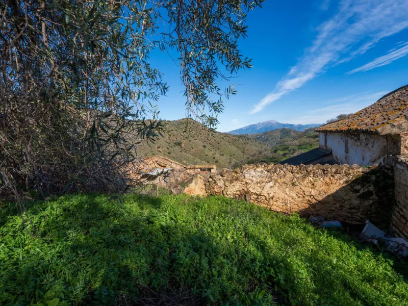 Imagine a place where time seems to stand still—a vast, quiet estate that breathes history in every corner. Two old houses in ruins rise gently from the land, their weathered walls worn by the years yet still standing strong, as if waiting for someone to 