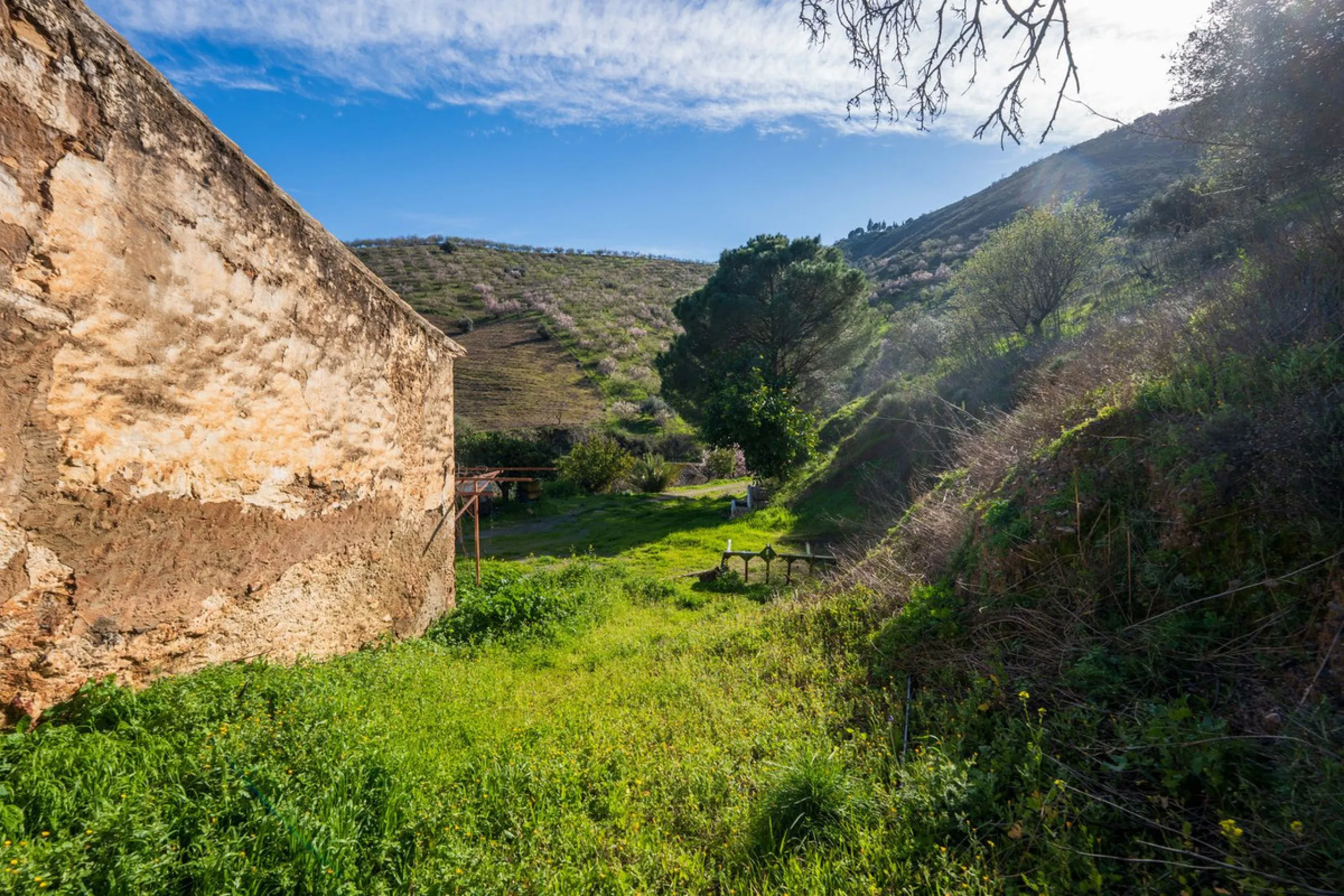 Imagine a place where time seems to stand still—a vast, quiet estate that breathes history in every corner. Two old houses in ruins rise gently from the land, their weathered walls worn by the years yet still standing strong, as if waiting for someone to 