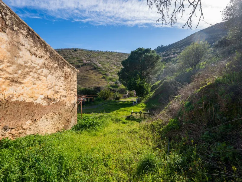 Imagine a place where time seems to stand still—a vast, quiet estate that breathes history in every corner. Two old houses in ruins rise gently from the land, their weathered walls worn by the years yet still standing strong, as if waiting for someone to 