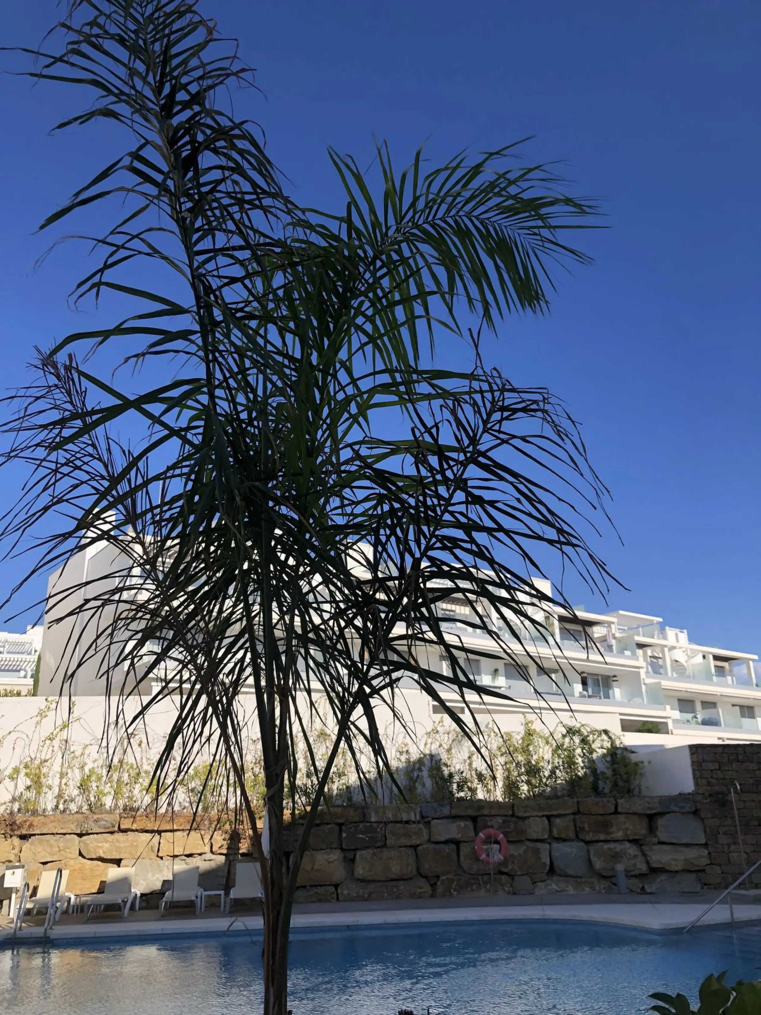 3-Bedroom Apartment in Le Mirage, Cancelada