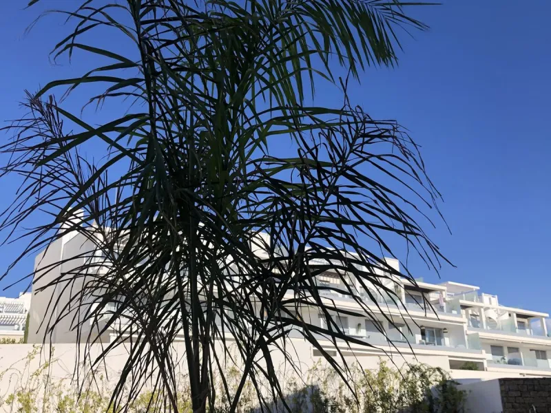 3-Bedroom Apartment in Le Mirage, Cancelada