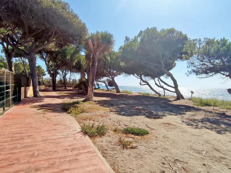 Duplex Penthouse in Venalmar: Beachside Elegance on the New Golden Mile