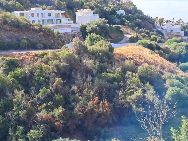 Excellent investment opportunity in one of the most exclusive areas of Marbella.