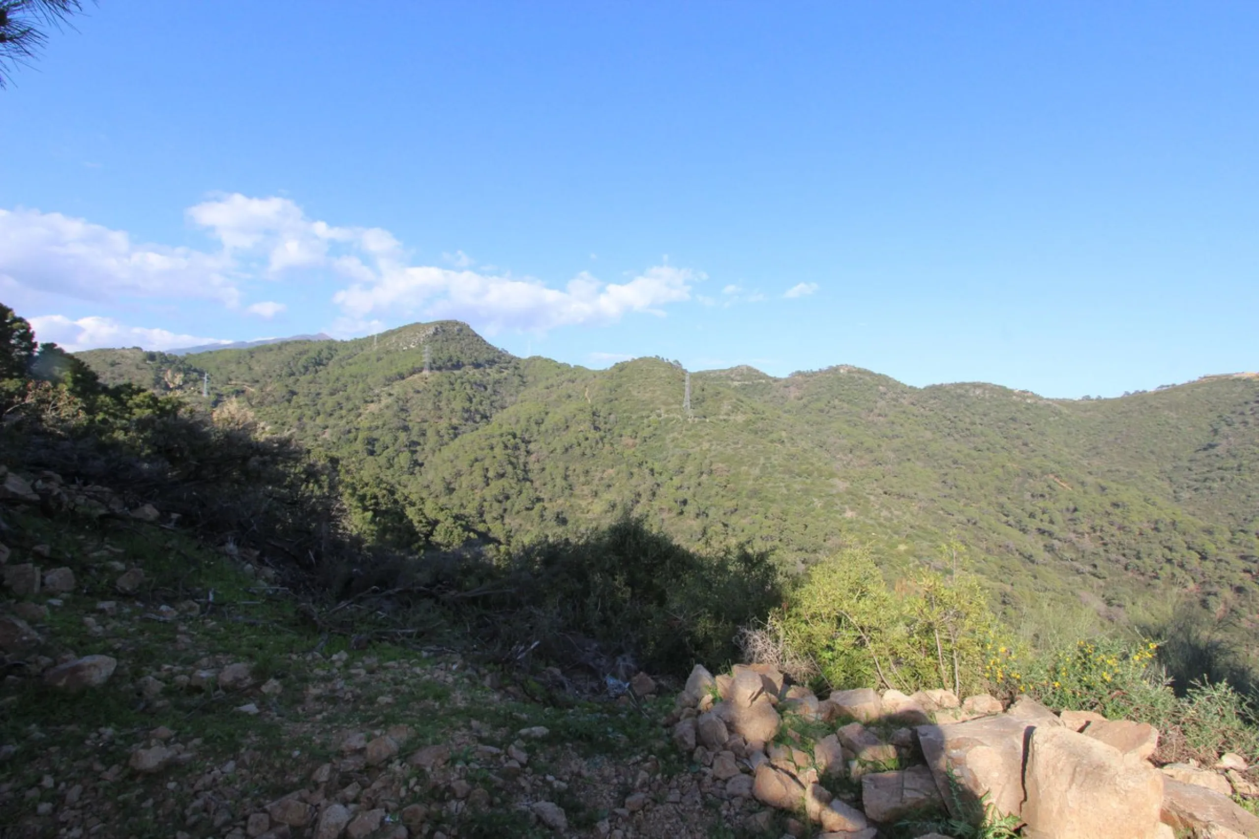 Magnificent 2,275 m² plot in the prestigious Monte Mayor urbanisation, Benahavís, set in an elevated and privileged position that guarantees spectacular open views of the Mediterranean Sea and the mountains. Surrounded by nature, lush woodland and an exce
