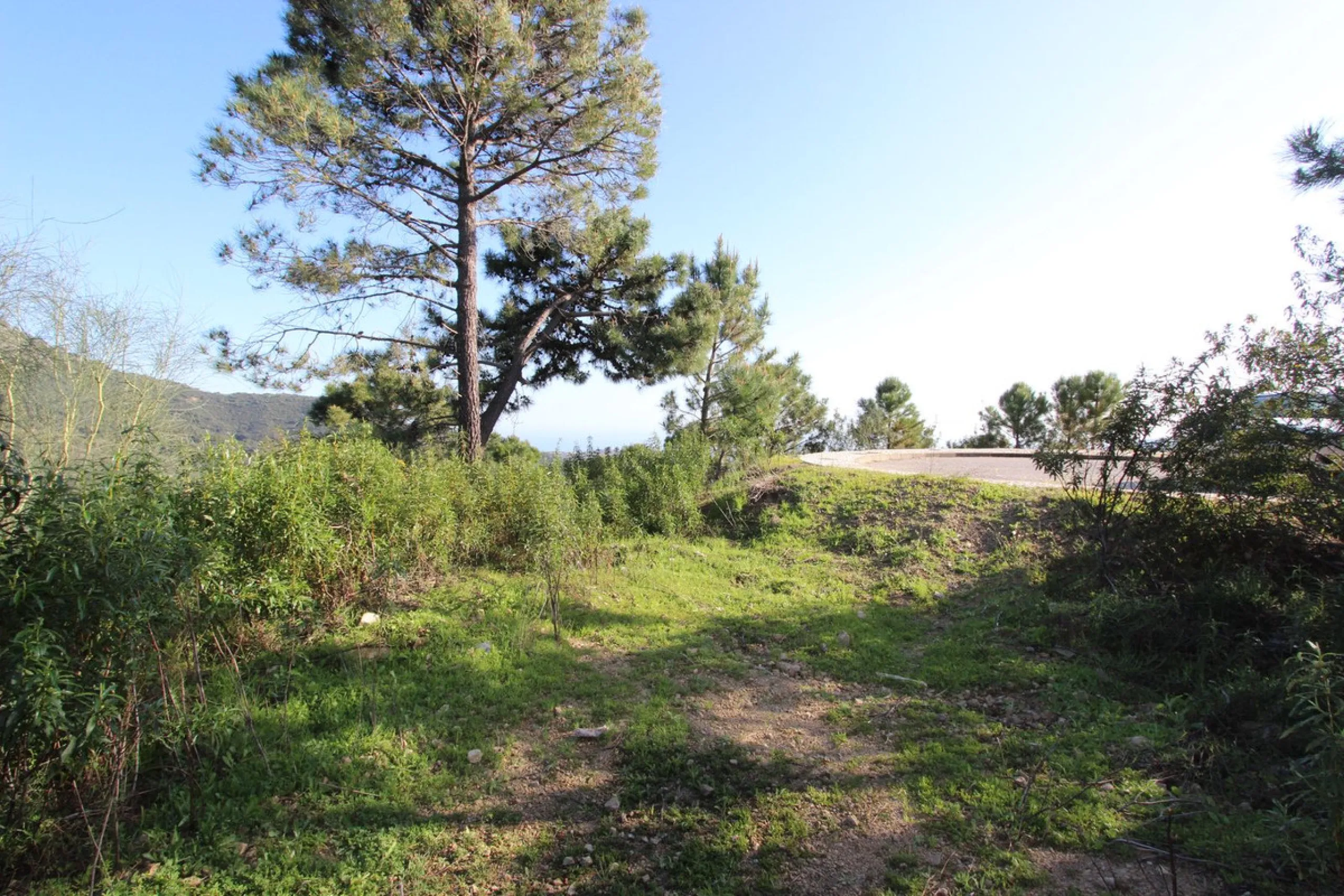Magnificent 2,275 m² plot in the prestigious Monte Mayor urbanisation, Benahavís, set in an elevated and privileged position that guarantees spectacular open views of the Mediterranean Sea and the mountains. Surrounded by nature, lush woodland and an exce