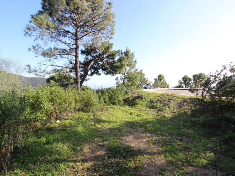 Magnificent 2,275 m² plot in the prestigious Monte Mayor urbanisation, Benahavís, set in an elevated and privileged position that guarantees spectacular open views of the Mediterranean Sea and the mountains. Surrounded by nature, lush woodland and an exce