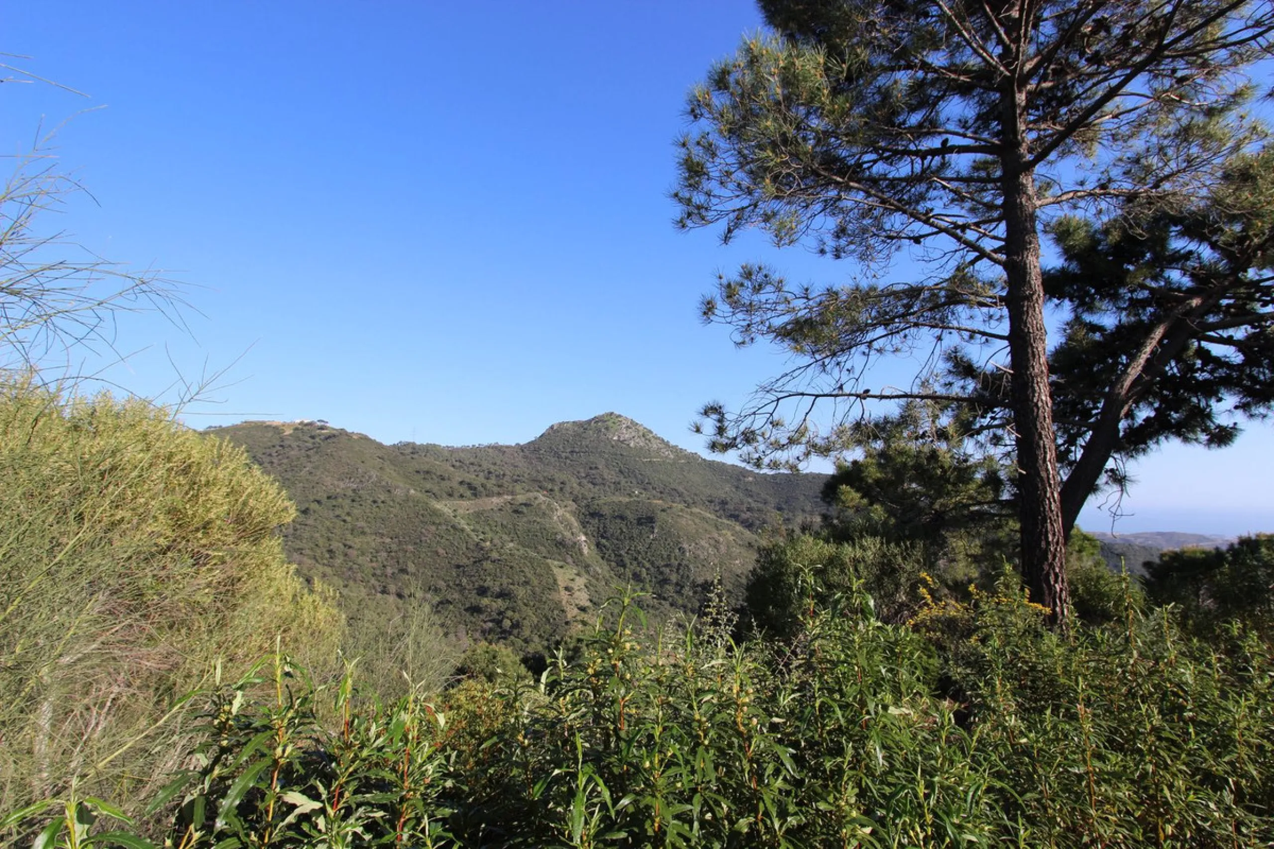 Magnificent 2,275 m² plot in the prestigious Monte Mayor urbanisation, Benahavís, set in an elevated and privileged position that guarantees spectacular open views of the Mediterranean Sea and the mountains. Surrounded by nature, lush woodland and an exce