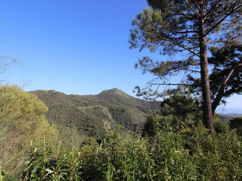 Magnificent 2,275 m² plot in the prestigious Monte Mayor urbanisation, Benahavís, set in an elevated and privileged position that guarantees spectacular open views of the Mediterranean Sea and the mountains. Surrounded by nature, lush woodland and an exce