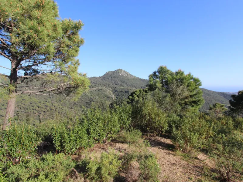 Magnificent 2,275 m² plot in the prestigious Monte Mayor urbanisation, Benahavís, set in an elevated and privileged position that guarantees spectacular open views of the Mediterranean Sea and the mountains. Surrounded by nature, lush woodland and an exce