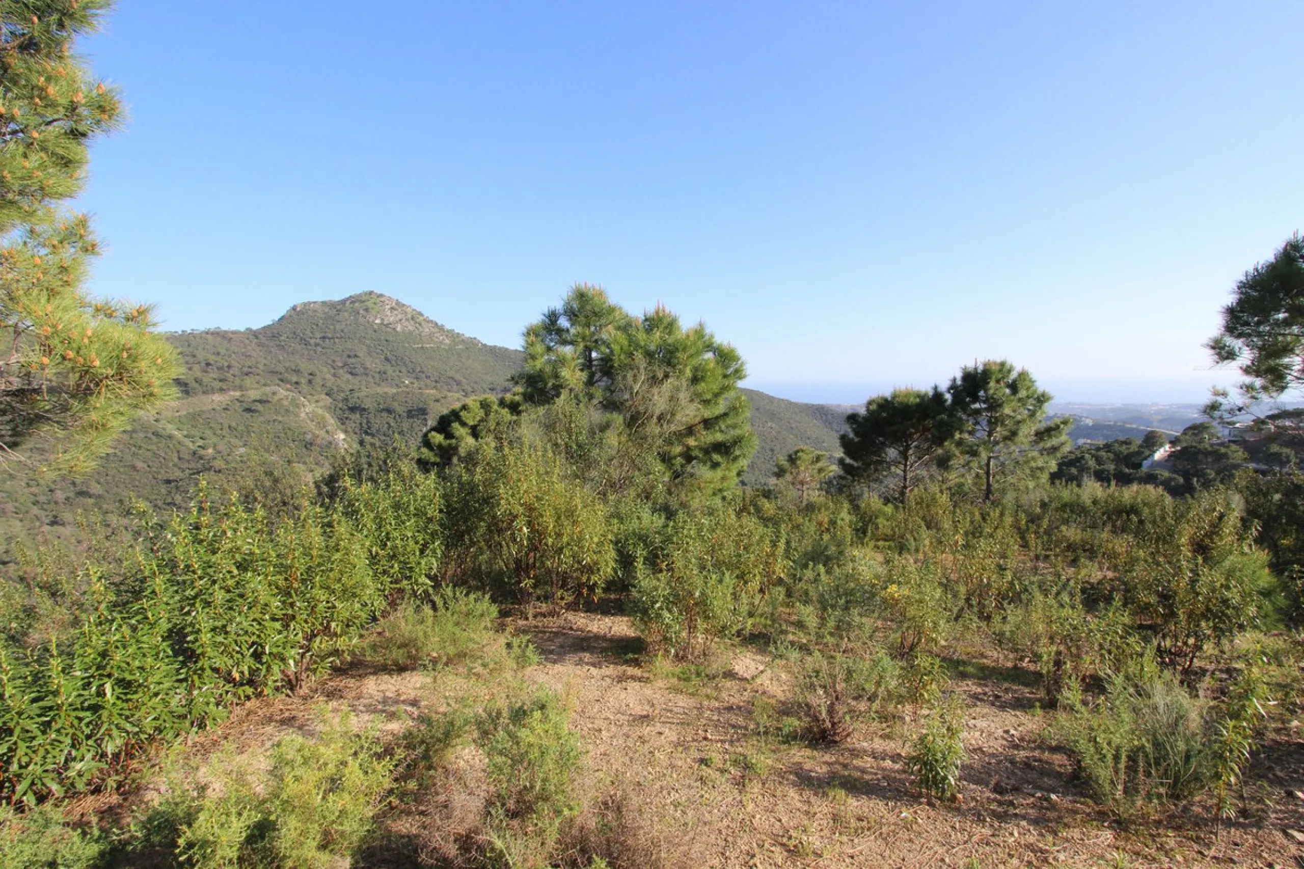 Magnificent 2,275 m² plot in the prestigious Monte Mayor urbanisation, Benahavís, set in an elevated and privileged position that guarantees spectacular open views of the Mediterranean Sea and the mountains. Surrounded by nature, lush woodland and an exce