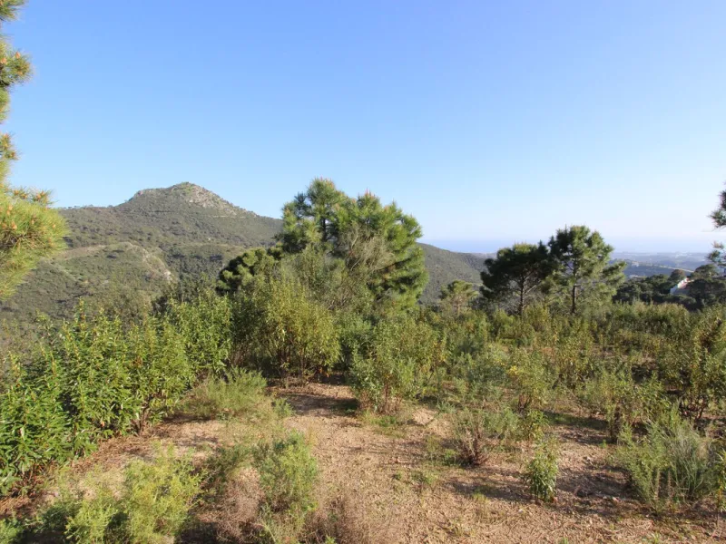 Magnificent 2,275 m² plot in the prestigious Monte Mayor urbanisation, Benahavís, set in an elevated and privileged position that guarantees spectacular open views of the Mediterranean Sea and the mountains. Surrounded by nature, lush woodland and an exce