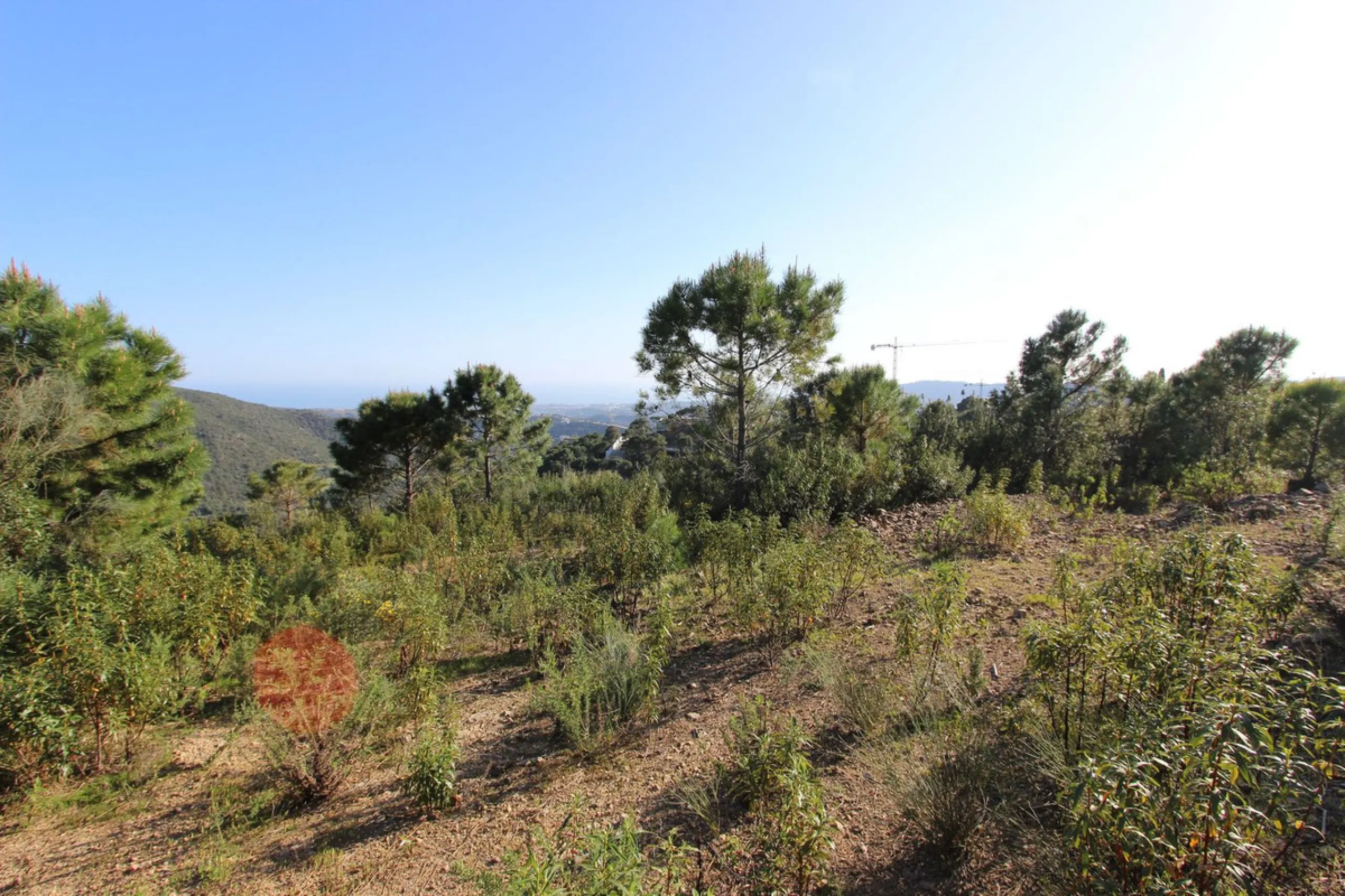 Magnificent 2,275 m² plot in the prestigious Monte Mayor urbanisation, Benahavís, set in an elevated and privileged position that guarantees spectacular open views of the Mediterranean Sea and the mountains. Surrounded by nature, lush woodland and an exce