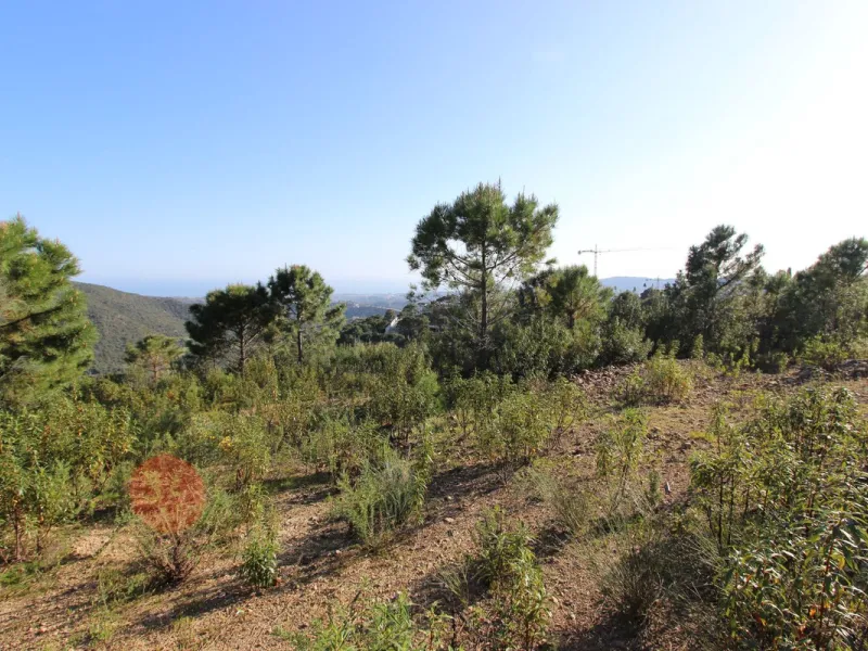Magnificent 2,275 m² plot in the prestigious Monte Mayor urbanisation, Benahavís, set in an elevated and privileged position that guarantees spectacular open views of the Mediterranean Sea and the mountains. Surrounded by nature, lush woodland and an exce