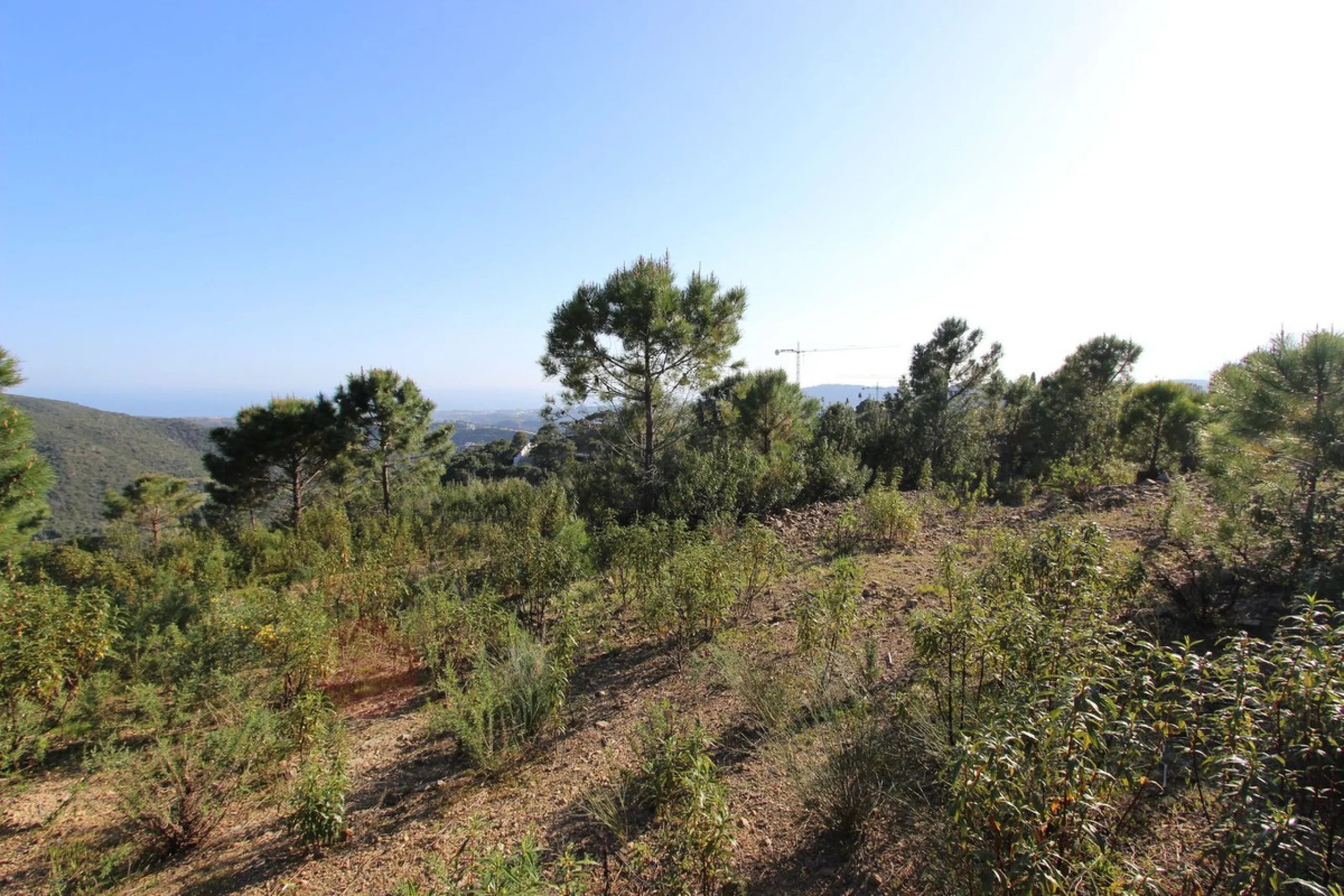 Magnificent 2,275 m² plot in the prestigious Monte Mayor urbanisation, Benahavís, set in an elevated and privileged position that guarantees spectacular open views of the Mediterranean Sea and the mountains. Surrounded by nature, lush woodland and an exce