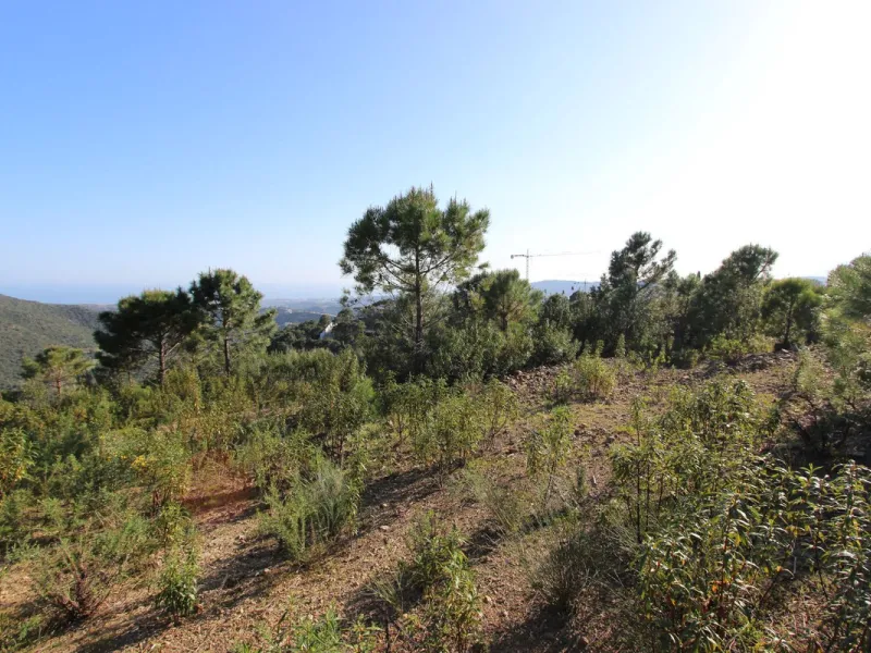 Magnificent 2,275 m² plot in the prestigious Monte Mayor urbanisation, Benahavís, set in an elevated and privileged position that guarantees spectacular open views of the Mediterranean Sea and the mountains. Surrounded by nature, lush woodland and an exce