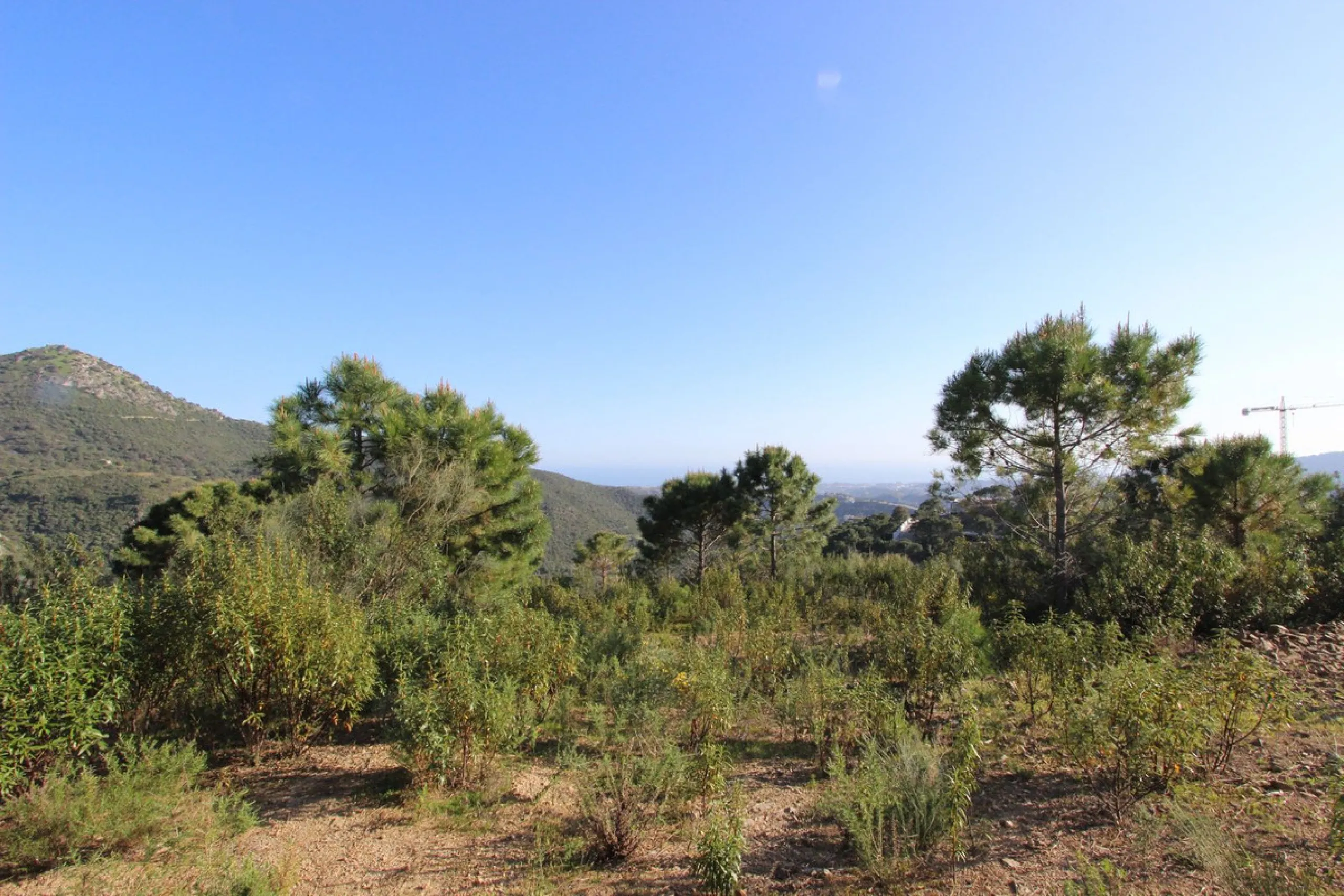 Magnificent 2,275 m² plot in the prestigious Monte Mayor urbanisation, Benahavís, set in an elevated and privileged position that guarantees spectacular open views of the Mediterranean Sea and the mountains. Surrounded by nature, lush woodland and an exce