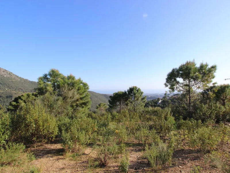 Magnificent 2,275 m² plot in the prestigious Monte Mayor urbanisation, Benahavís, set in an elevated and privileged position that guarantees spectacular open views of the Mediterranean Sea and the mountains. Surrounded by nature, lush woodland and an exce
