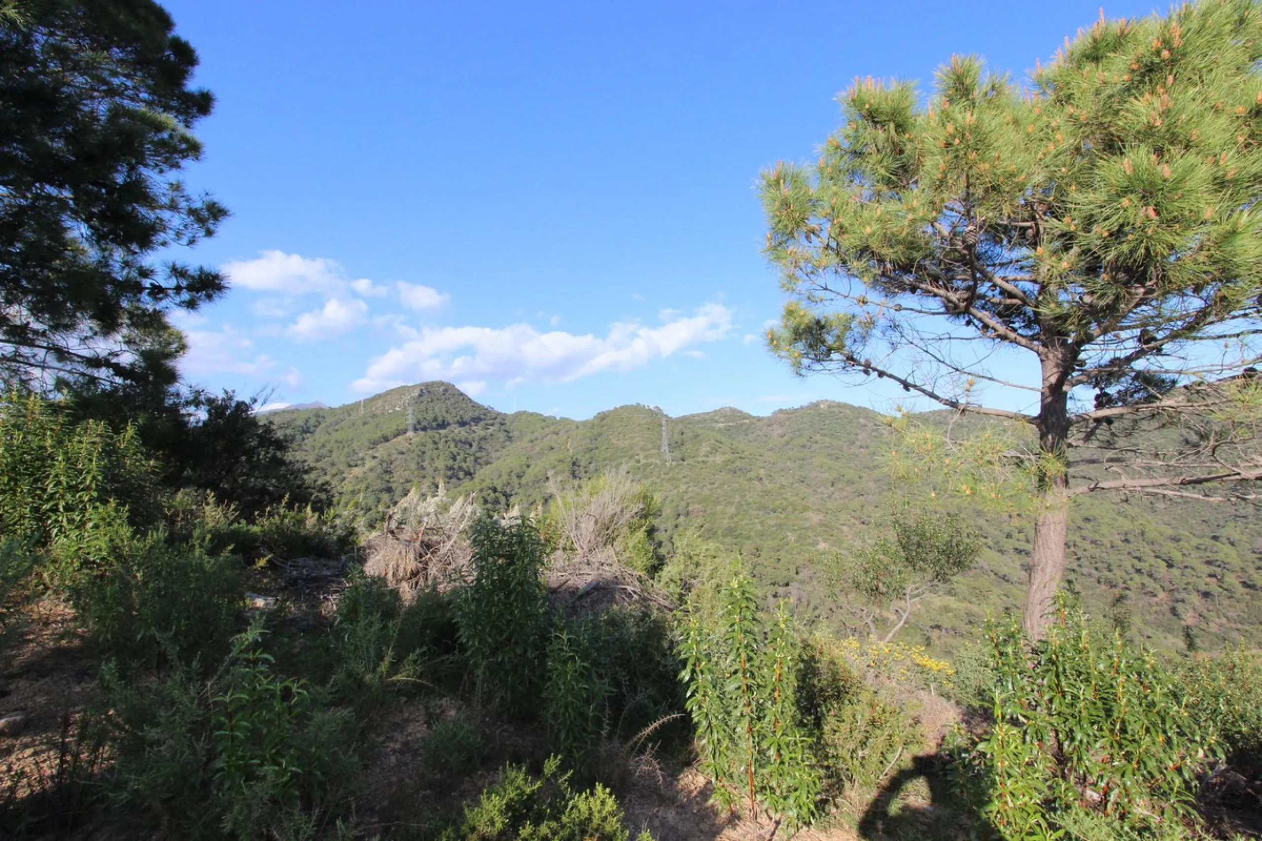 Magnificent 2,275 m² plot in the prestigious Monte Mayor urbanisation, Benahavís, set in an elevated and privileged position that guarantees spectacular open views of the Mediterranean Sea and the mountains. Surrounded by nature, lush woodland and an exce