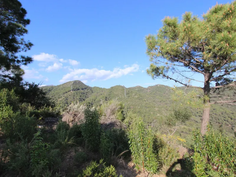 Magnificent 2,275 m² plot in the prestigious Monte Mayor urbanisation, Benahavís, set in an elevated and privileged position that guarantees spectacular open views of the Mediterranean Sea and the mountains. Surrounded by nature, lush woodland and an exce