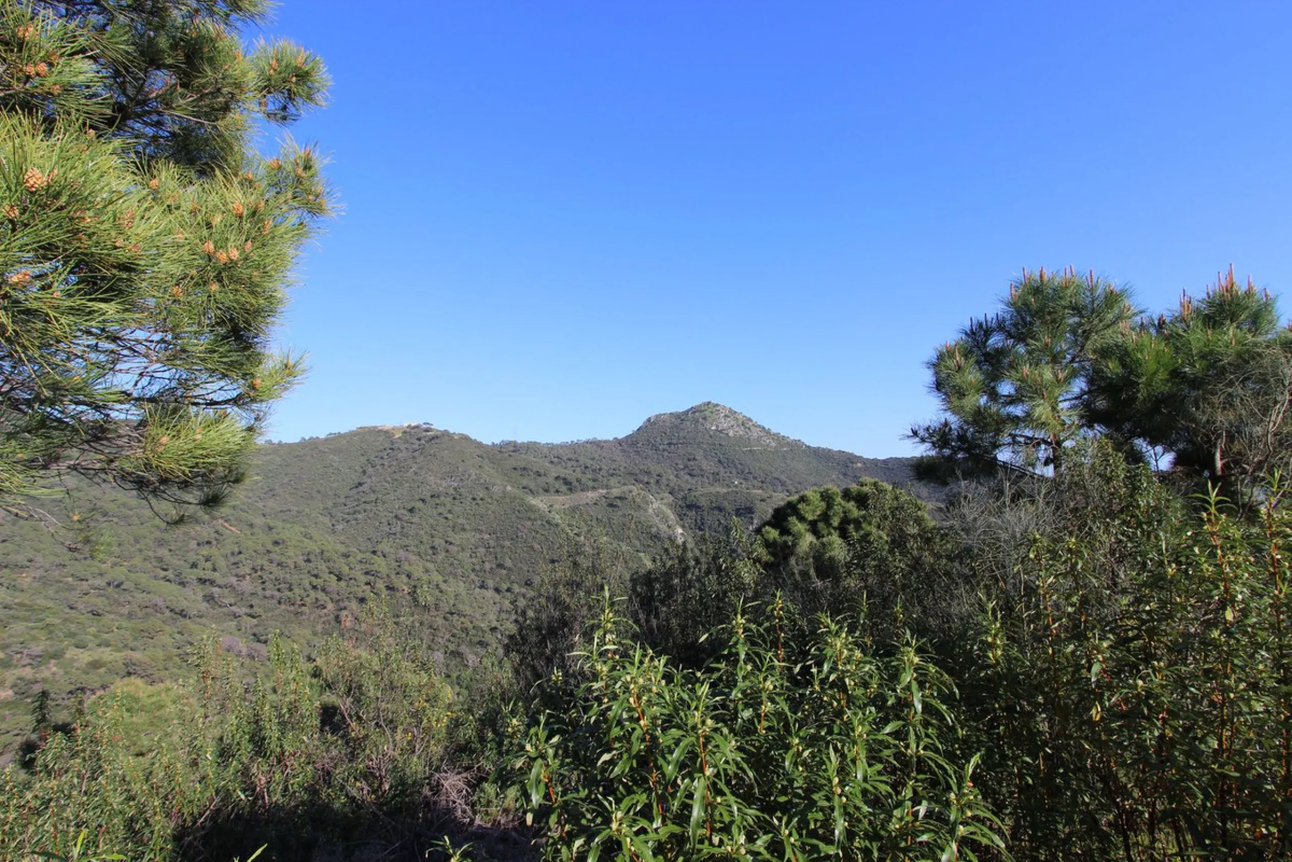Magnificent 2,275 m² plot in the prestigious Monte Mayor urbanisation, Benahavís, set in an elevated and privileged position that guarantees spectacular open views of the Mediterranean Sea and the mountains. Surrounded by nature, lush woodland and an exce