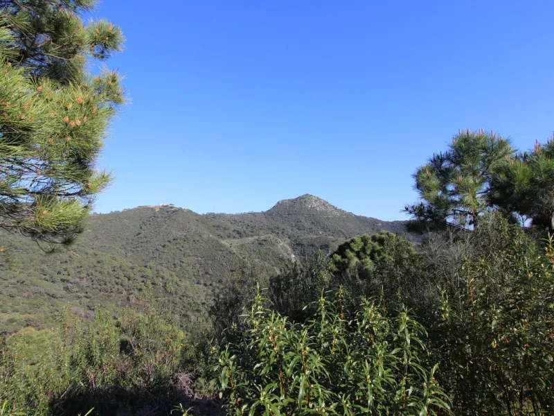 Magnificent 2,275 m² plot in the prestigious Monte Mayor urbanisation, Benahavís, set in an elevated and privileged position that guarantees spectacular open views of the Mediterranean Sea and the mountains. Surrounded by nature, lush woodland and an exce
