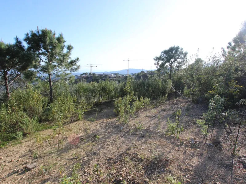 Magnificent 2,275 m² plot in the prestigious Monte Mayor urbanisation, Benahavís, set in an elevated and privileged position that guarantees spectacular open views of the Mediterranean Sea and the mountains. Surrounded by nature, lush woodland and an exce