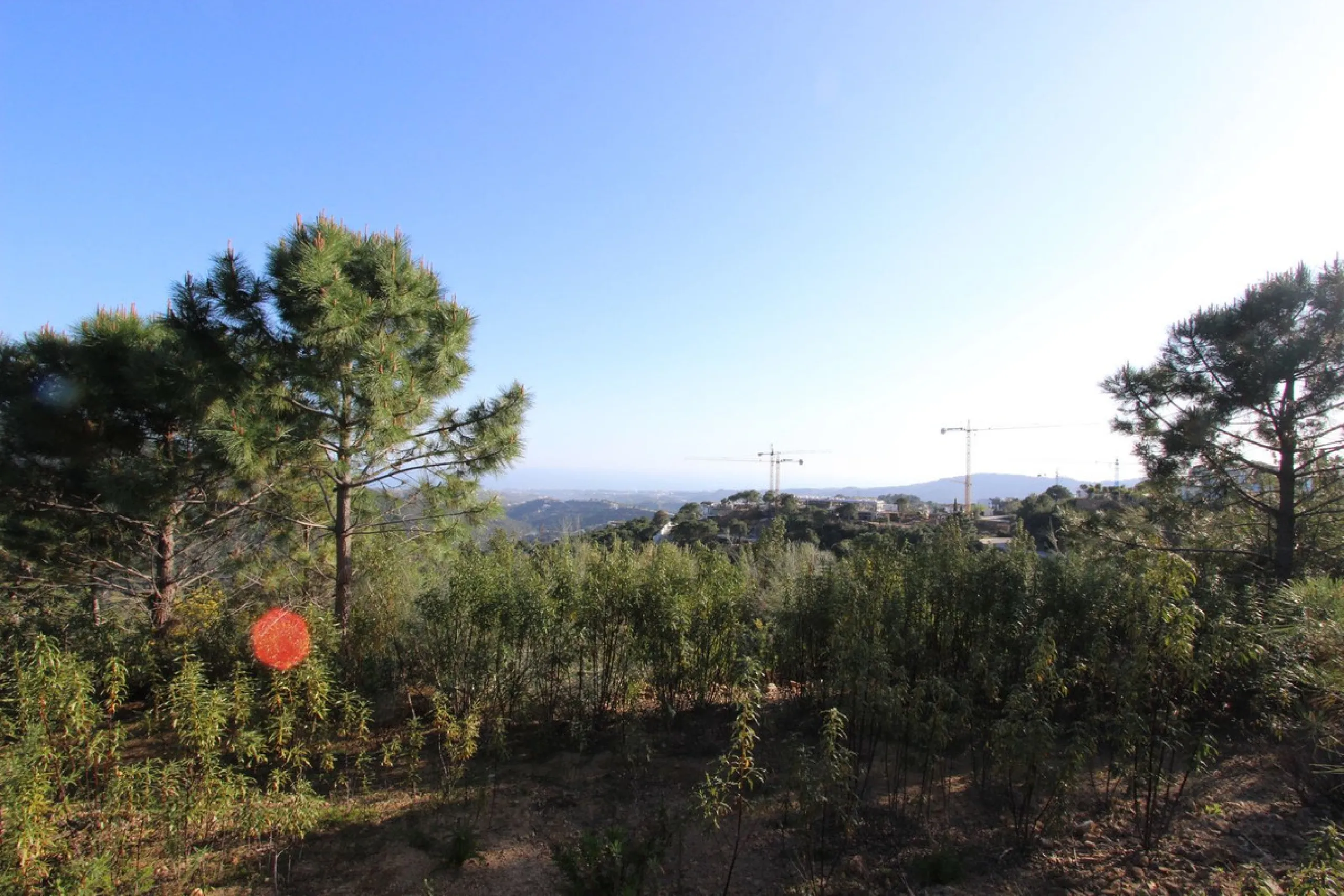 Magnificent 2,275 m² plot in the prestigious Monte Mayor urbanisation, Benahavís, set in an elevated and privileged position that guarantees spectacular open views of the Mediterranean Sea and the mountains. Surrounded by nature, lush woodland and an exce