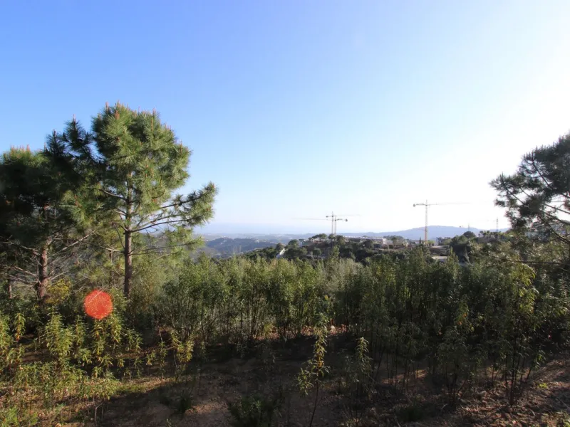 Magnificent 2,275 m² plot in the prestigious Monte Mayor urbanisation, Benahavís, set in an elevated and privileged position that guarantees spectacular open views of the Mediterranean Sea and the mountains. Surrounded by nature, lush woodland and an exce