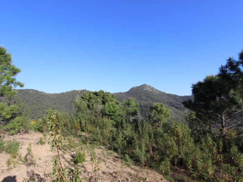 Magnificent 2,275 m² plot in the prestigious Monte Mayor urbanisation, Benahavís, set in an elevated and privileged position that guarantees spectacular open views of the Mediterranean Sea and the mountains. Surrounded by nature, lush woodland and an exce