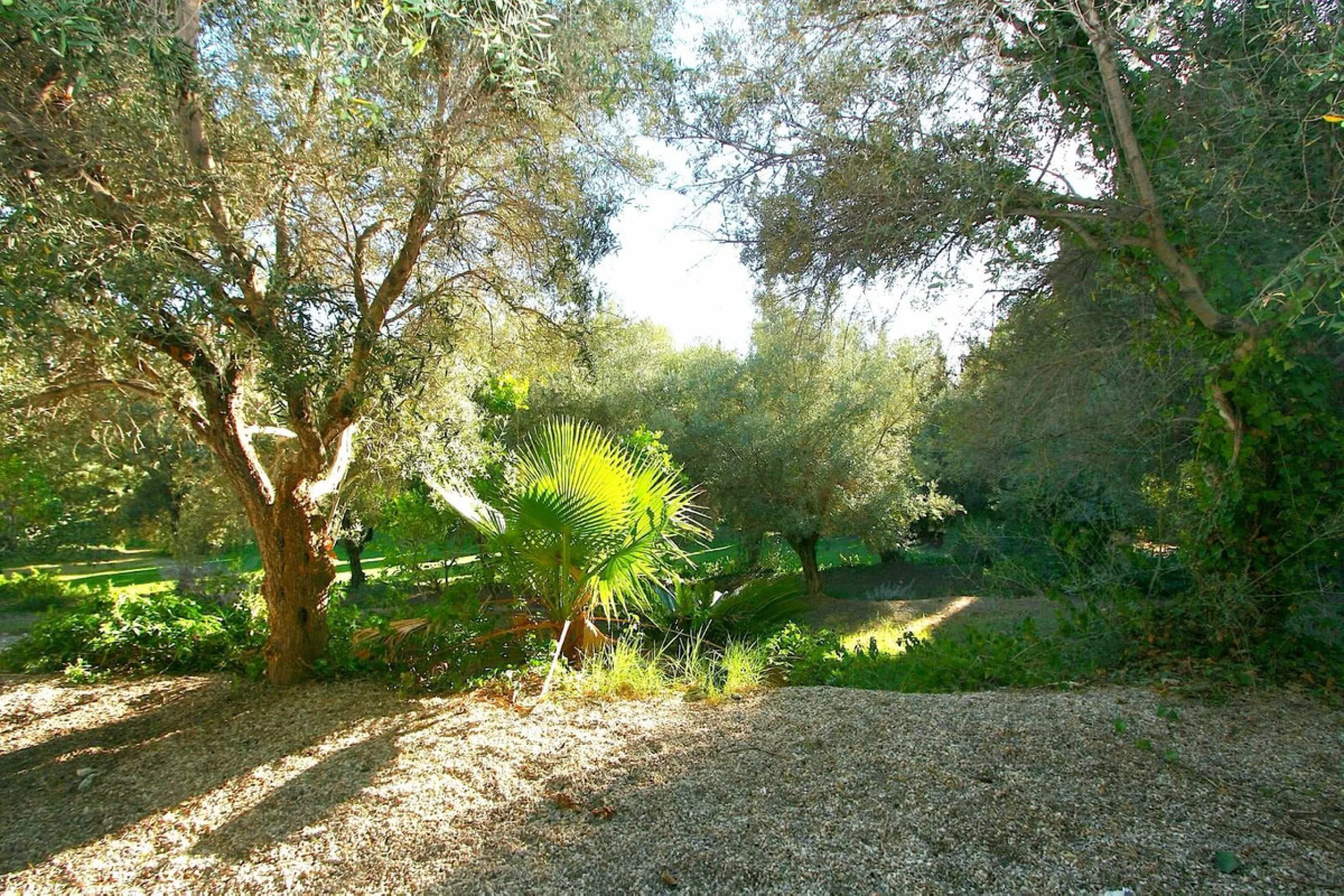 Magnificent 2,000 m² building plot located in the charming urbanisation of La Alquería, near Mijas Pueblo. This prime corner plot is partly enclosed with an existing wall and features a private entrance gate, offering both security and convenience.