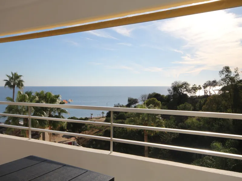 Beachfront Opportunity in Calahonda, Mijas Costa.