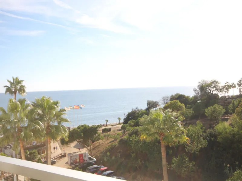 Beachfront Opportunity in Calahonda, Mijas Costa.