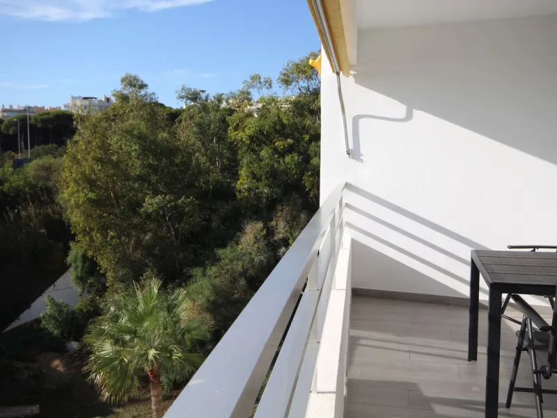 Beachfront Opportunity in Calahonda, Mijas Costa.