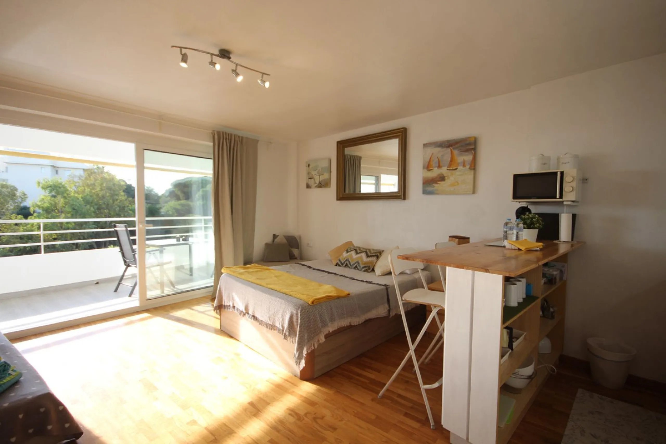 Beachfront Opportunity in Calahonda, Mijas Costa.