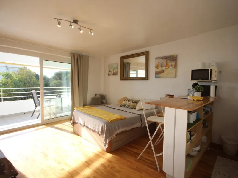 Beachfront Opportunity in Calahonda, Mijas Costa.