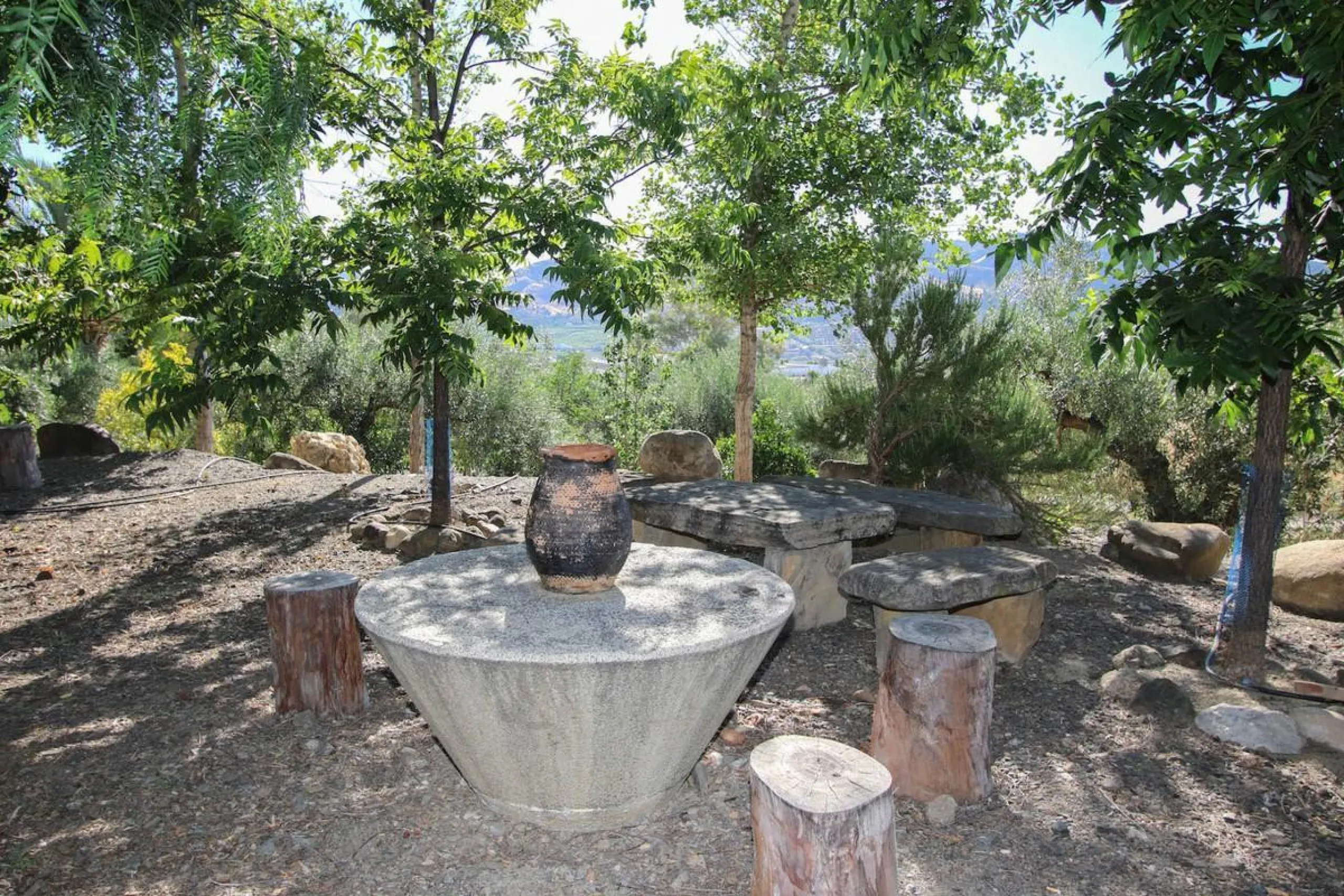 CHARMING Country Finca
