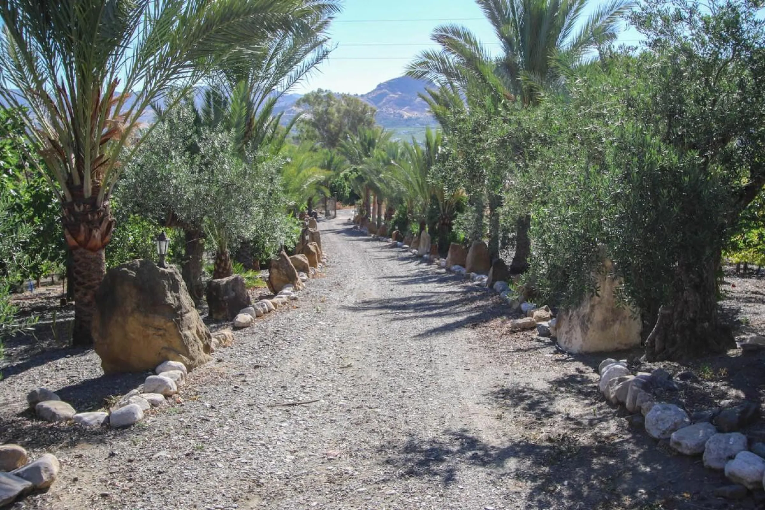 CHARMING Country Finca