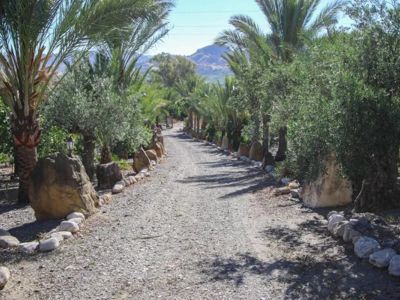 CHARMING Country Finca